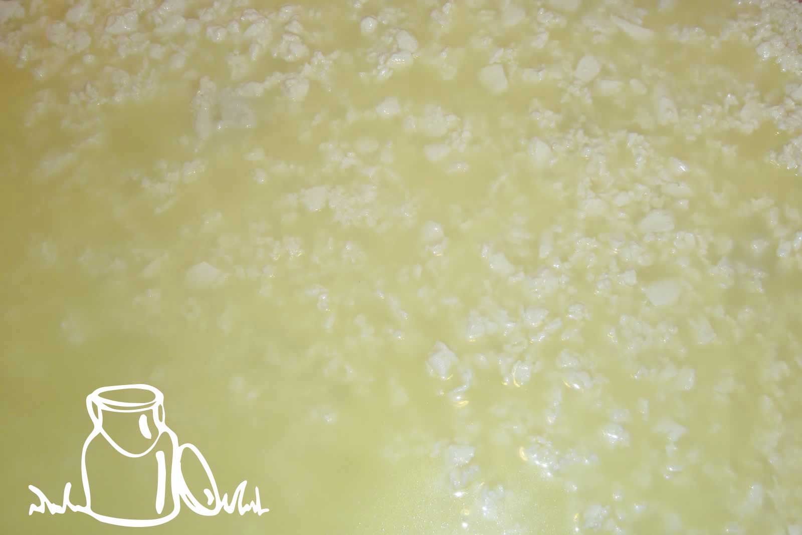 Caillé de tomme brigasque